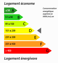 energetics_D